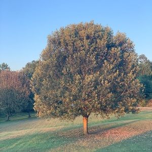 Meet your Posher, Kellee